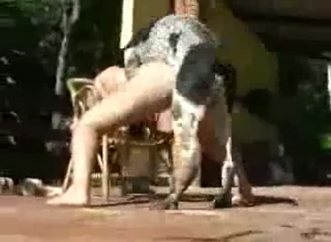 Video :Outdoor dog sex with a sexy teen beastie gal